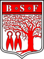 Fil:BSF-logo micro.png