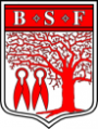 BSF-logo micro.png